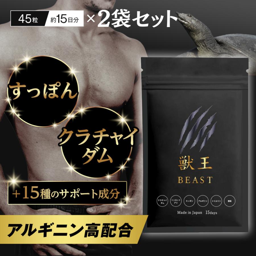 獣王beastサプリ 獣王ビースト 45粒 2袋 メンズサプリ 獣王beastサプリ 獣王ビースト 45粒 2袋 メンズサプリ