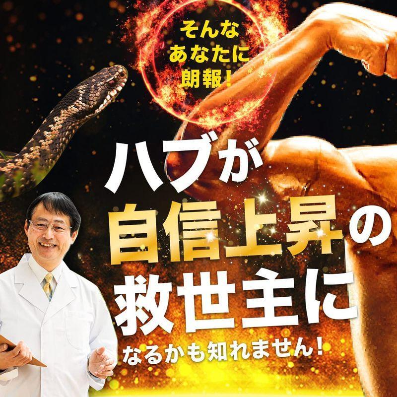 闘王 ファイターキング 60粒 サプリ マカ アルギニン クラチャイダム
