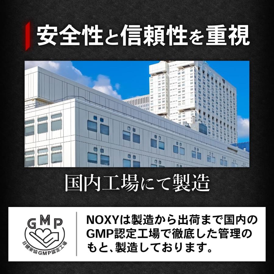 NOXY ノクシィ 180粒 3袋セット サプリ サプリメント NO系
