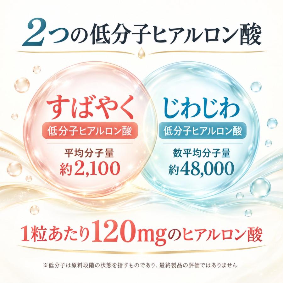 リマドス プレステージ エイジングリッチ303 60粒 303種の複合成分