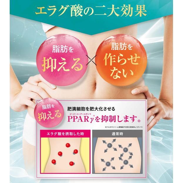 自然派研究所 シボローカ 30粒入り ダイエット エラグ酸 体脂肪 中性