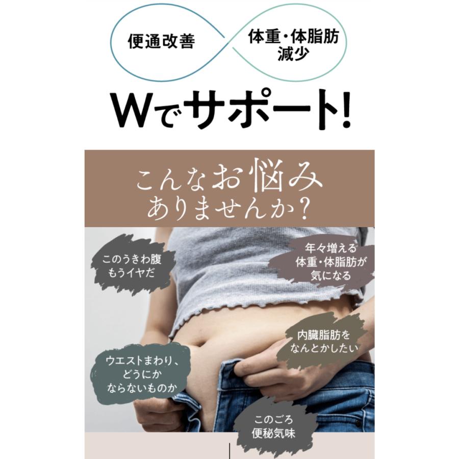 やずや スリムエールw 62粒 ダイエットサポート サプリ 賞味期限2026