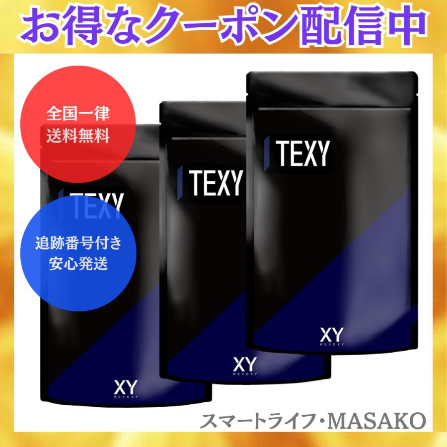 TEST BLACK テストステロンサプリ3袋 TEXY テクシィ 120粒 3袋セット サプリ サプリメント テストステロン