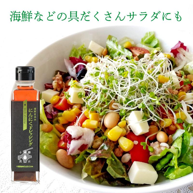 十勝清水にんにくドレッシング 160g にんにく サラダ 焼肉 調味料