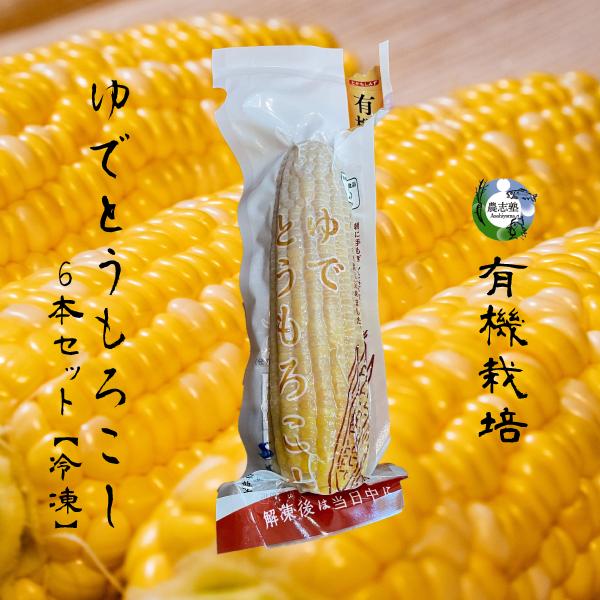 【冷凍】有機とうもろこし 6本セット 食べ応え 食味にこだわり おやつ コーン 旭山農志塾 焼きトウモロコシ | 