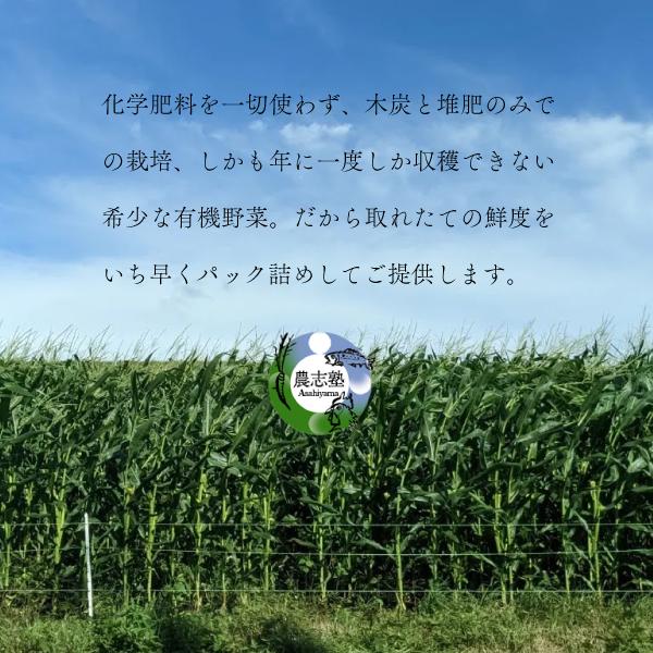 【冷凍】有機とうもろこし 6本セット 食べ応え 食味にこだわり おやつ コーン 旭山農志塾 焼きトウモロコシ |  | 01