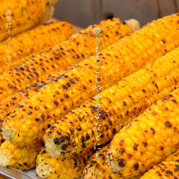 【冷凍】有機とうもろこし 6本セット 食べ応え 食味にこだわり おやつ コーン 旭山農志塾 焼きトウモロコシ |  | 02