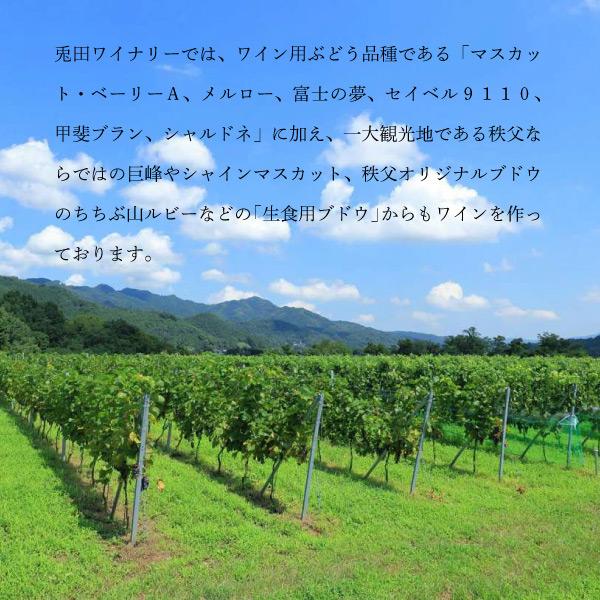 ギフト ワイン 秩父 国産葡萄 秩父ワイナリー 白ワイン 赤ワイン ロゼワイン お酒 お土産 中元 お歳暮 葡萄酒 グラス |  | 07