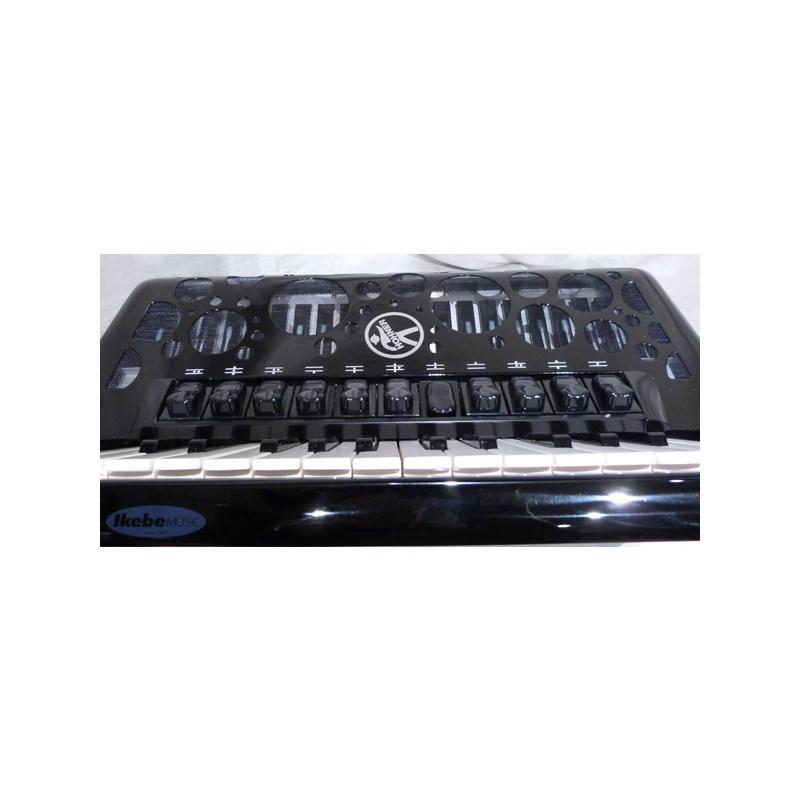 Hohner Amica forte IV 96【受注生産商品】の画像