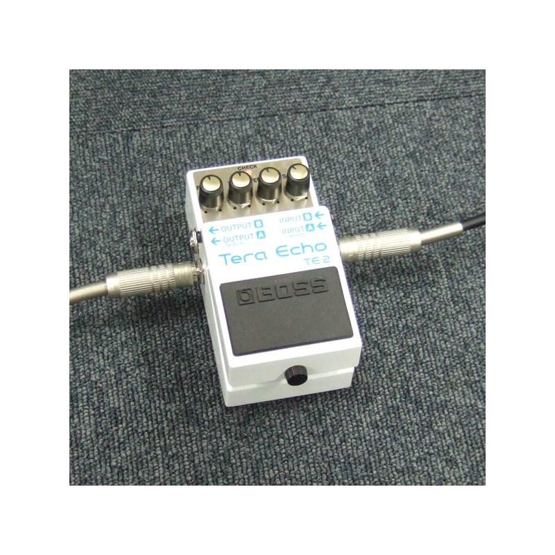 BOSS（ボス） BOSS TE-2 [Tera Echo] ディレイ : 渋谷イケベ楽器村