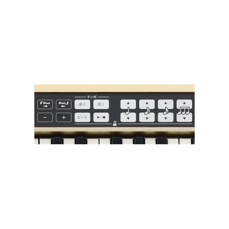 Roland JUSTY HK-100_4