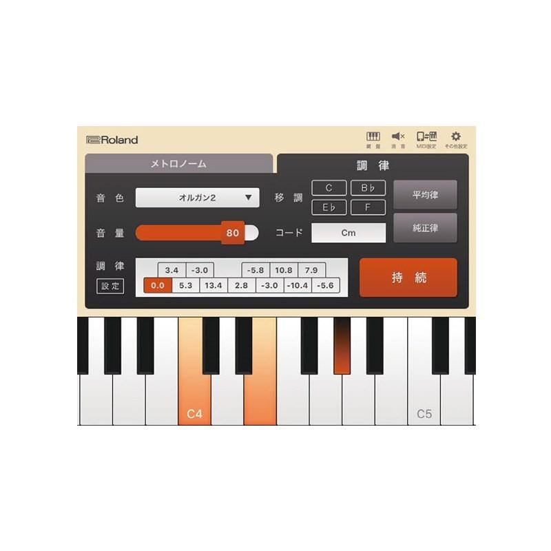 Roland JUSTY HK-100_5