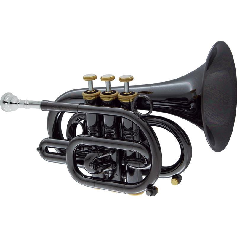 CAROL BRASS キャロルブラス / N3000 BLK GB 【Bb ポケット