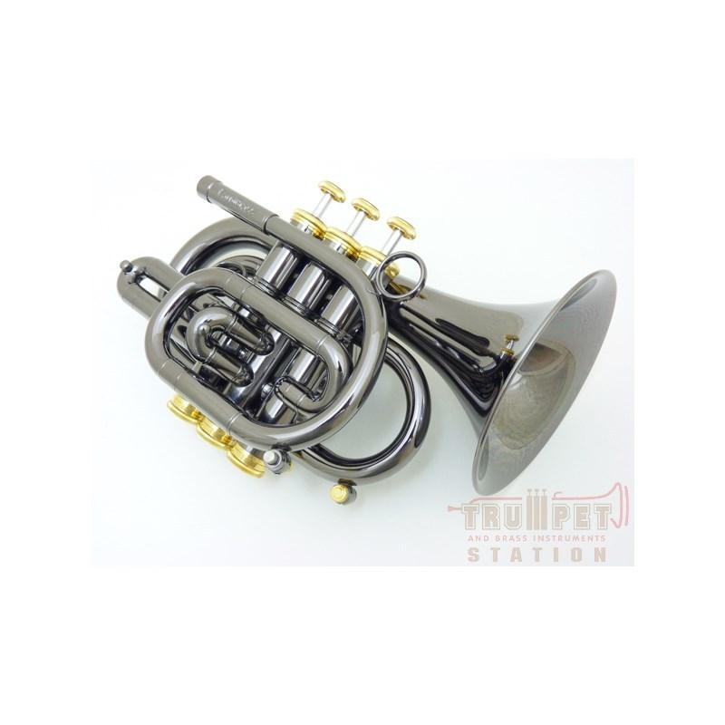 CAROL BRASS キャロルブラス / N3000 BLK GB 【Bb ポケット