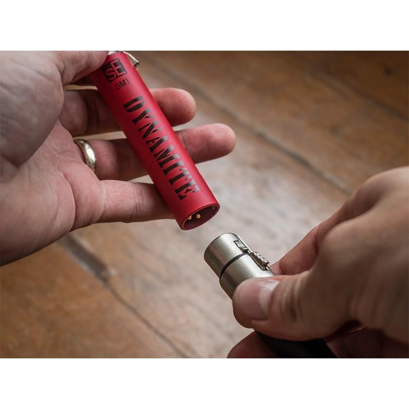 sE Electronics 【予約商品・次回12月下旬〜2026年1月中旬頃予定】【sE