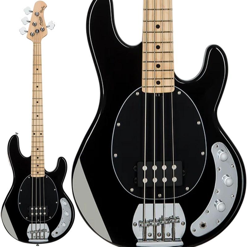 Music Man Sterling by MUSICMAN S.U.B. Series Ray4 (Black/Maple