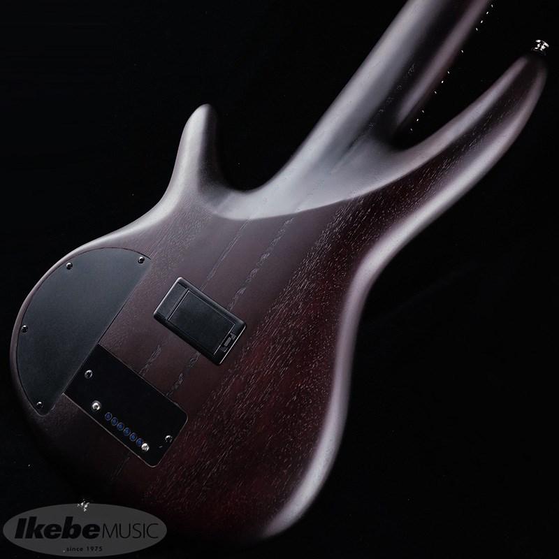 Ibanez（アイバニーズ） Ibanez Bass Workshop SRF706-BBF 【国内
