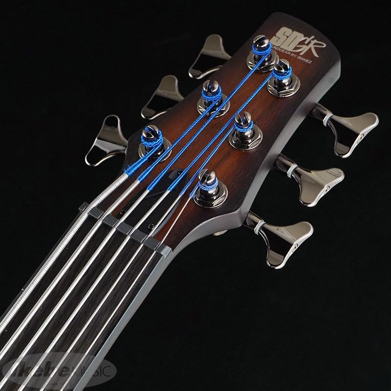 Ibanez（アイバニーズ） Ibanez Bass Workshop SRF706-BBF 【国内