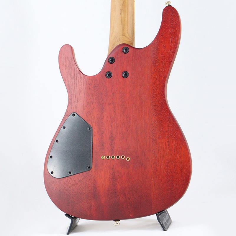 Ibanez（アイバニーズ） Ibanez SEW761FM-NTF (Natural Flat) : 渋谷