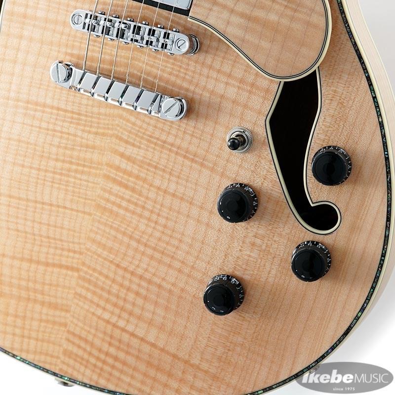 Ibanez（アイバニーズ） Ibanez ARTSTAR ASV113-RNT 【特価】 : 渋谷