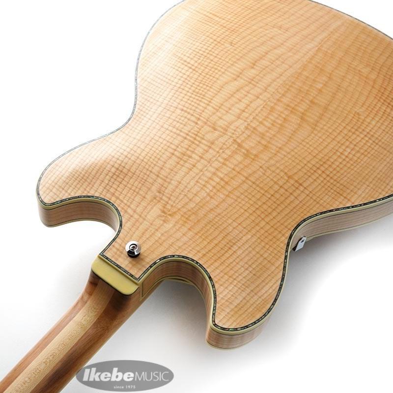 Ibanez（アイバニーズ） Ibanez ARTSTAR ASV113-RNT 【特価】 : 渋谷