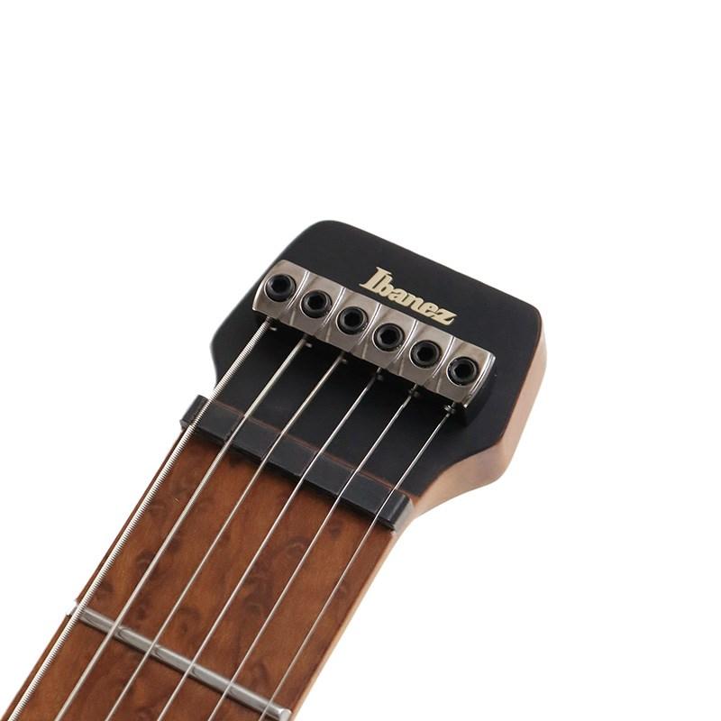 Ibanez Q54-BKF (Black Flat) [SPOT MODEL]の画像