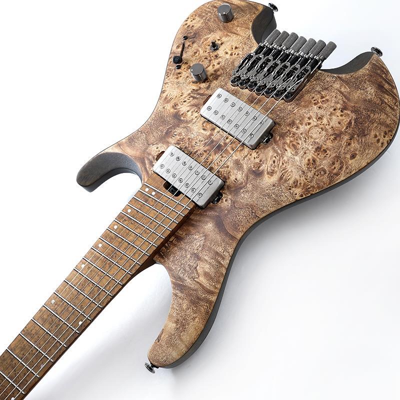 Ibanez（アイバニーズ） Ibanez QX527PB-ABS [SPOT MODEL] : 渋谷