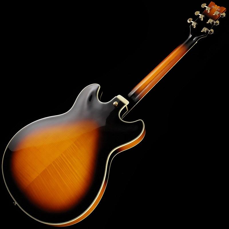 Ibanez（アイバニーズ） Ibanez JSM10-VYS [John Scofield Model