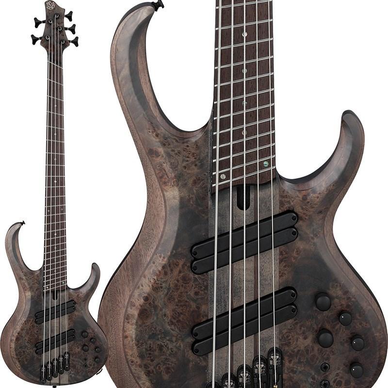Ibanez（アイバニーズ） Ibanez BTB805MS-TGF : 渋谷イケベ楽器村