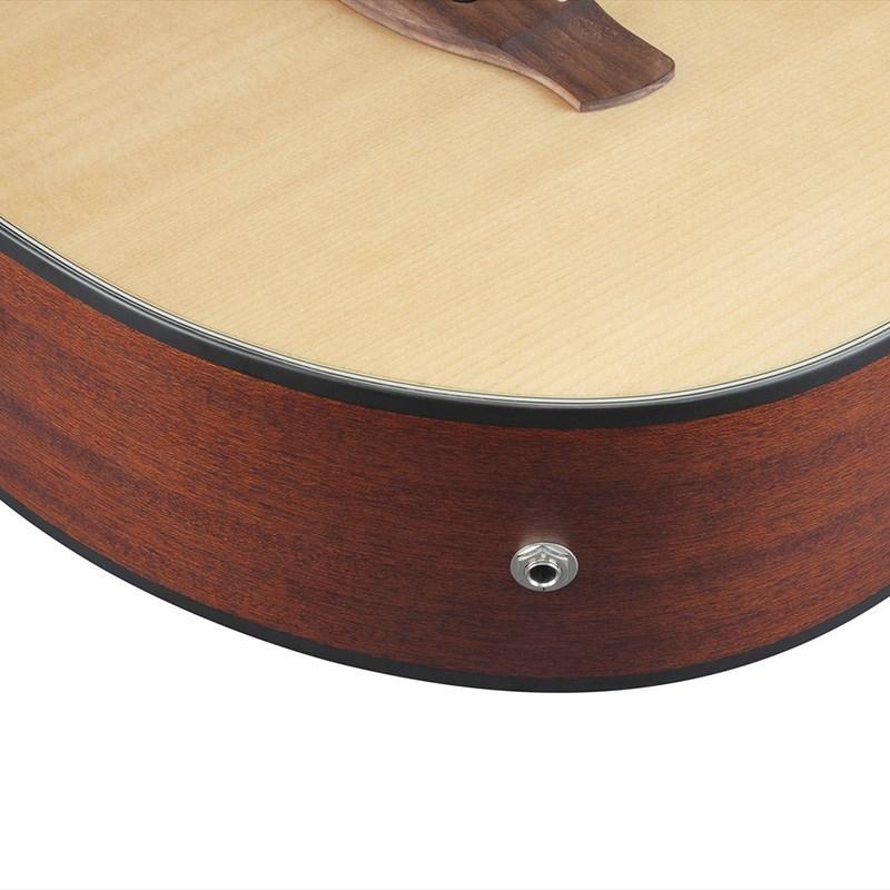 Ibanez AEGB30E-NTG_3