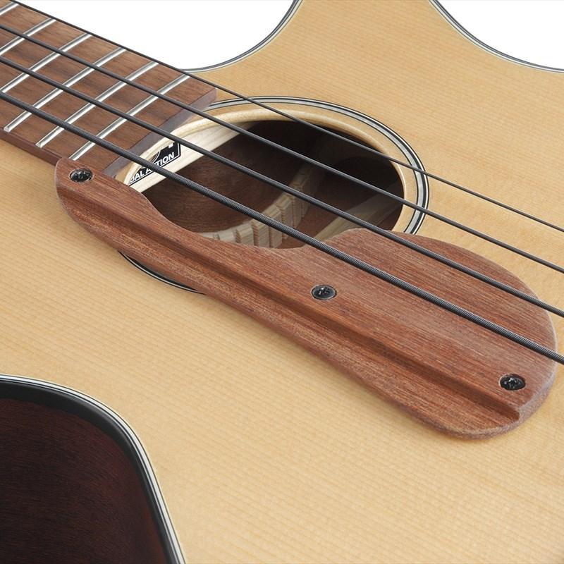 Ibanez AEGB30E-NTG_4