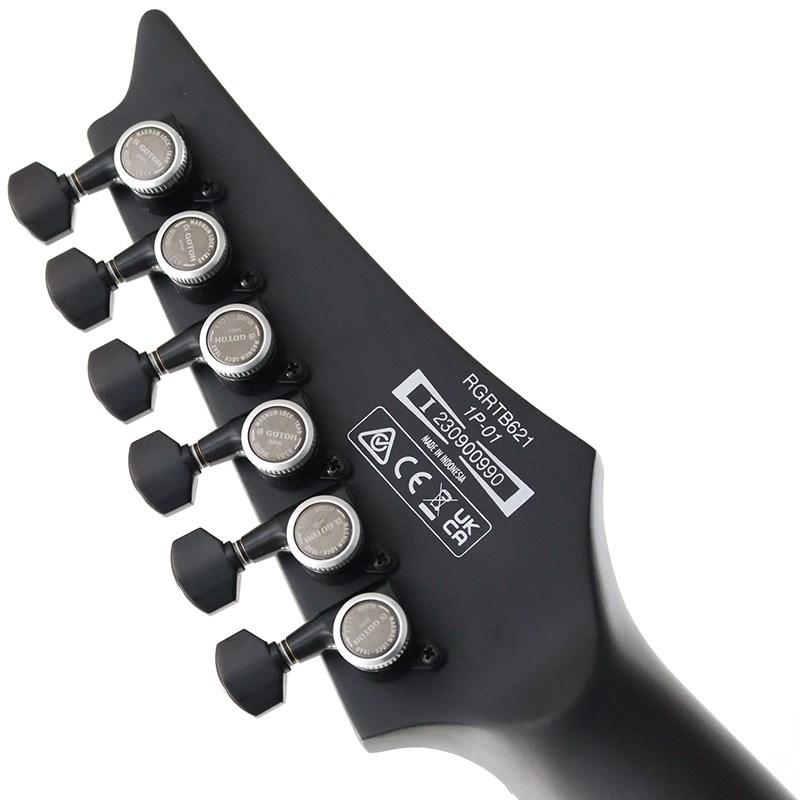 Ibanez（アイバニーズ） Ibanez Iron Label RGRTB621-BKF (Black Flat