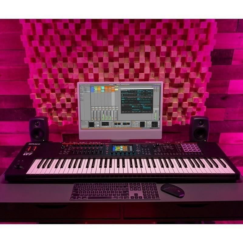 ローランド（Roland） (数量限定・背負える専用ソフトケースつき