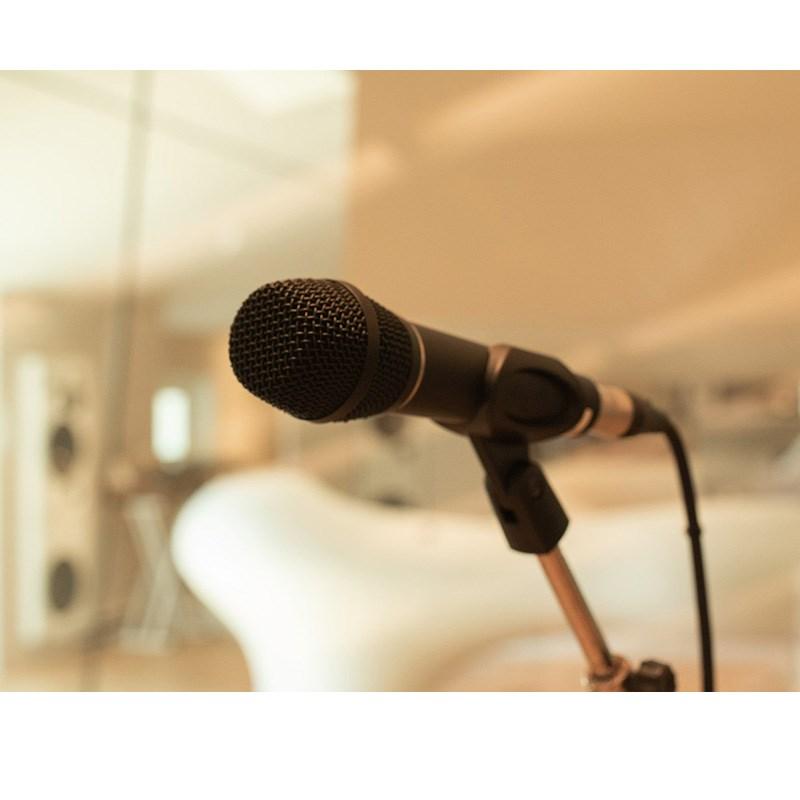 EARTHWORKS 【アースワークスVocal Mic Promo 2026！】SR117