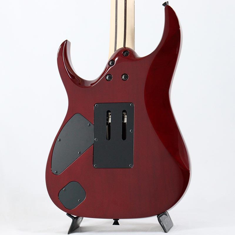 Ibanez（アイバニーズ） Ibanez j.custom Axe Design Lab RG8870-AGT