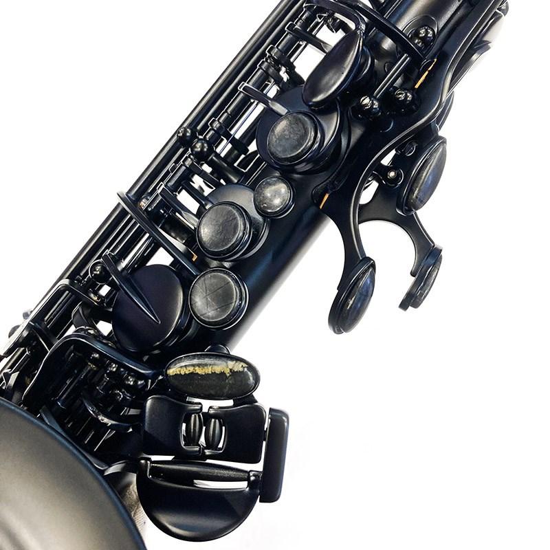 Cannonball アルトサックス キャノンボール A5-M MidKnight Cannonball アルトサックス キャノンボール A5-M MidKnight