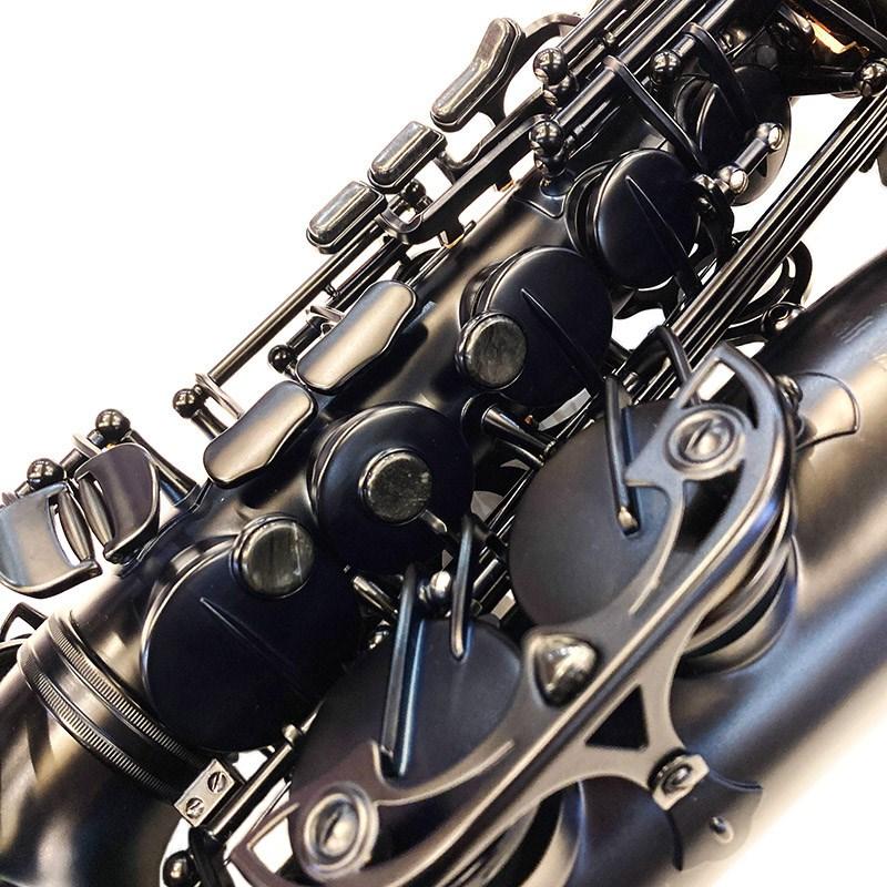 Cannonball アルトサックス キャノンボール A5-M MidKnight Cannonball アルトサックス キャノンボール A5-M MidKnight