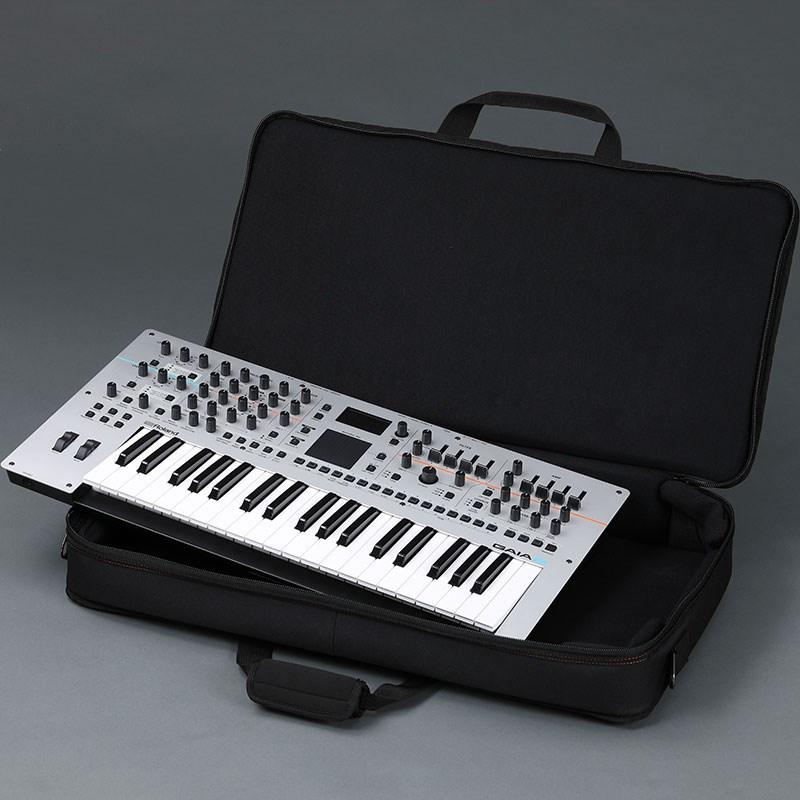 ローランド（Roland） Roland GAIA2+CB-B37 キャリングバッグセット