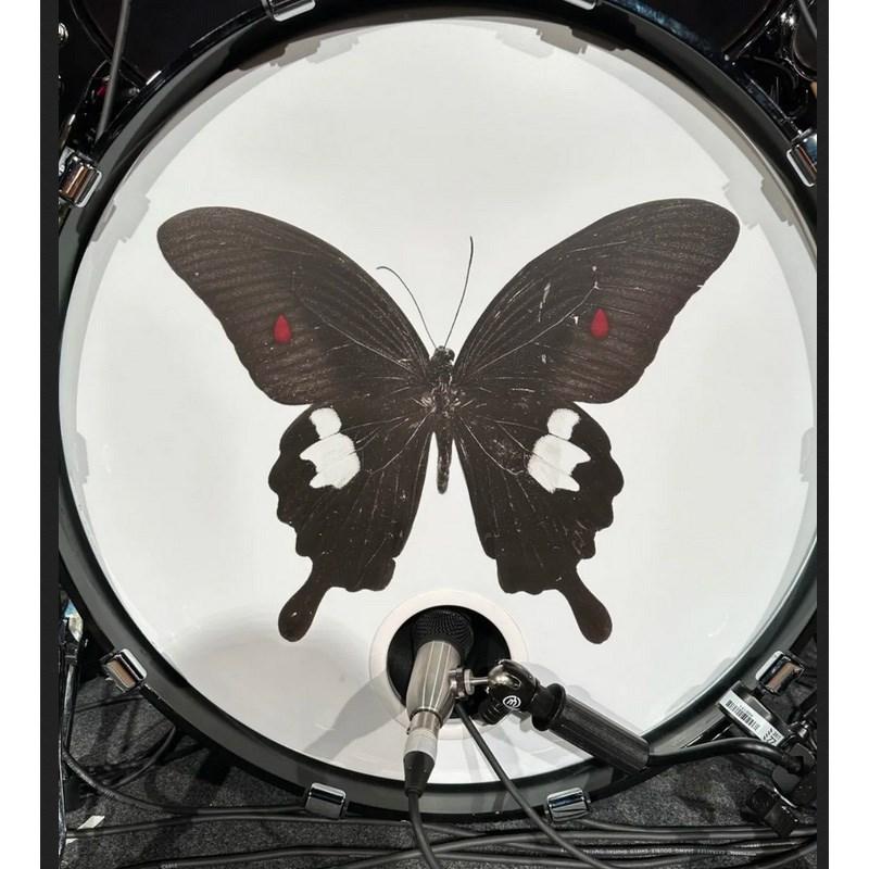 配信機器・PA機器・レコーディング機器 EARTHWORKS DM6 KICK DRUM MICROPHONE EARTHWORKS ( アースワークス ) DM6 KICK DRUM MICROPHONE 送料無料