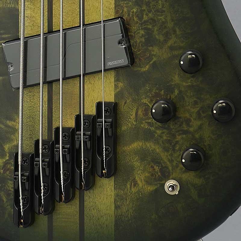 SPECTOR NS Dimension MS 5 (Haunted Moss) 【特価】｜shibuya-ikebe｜09