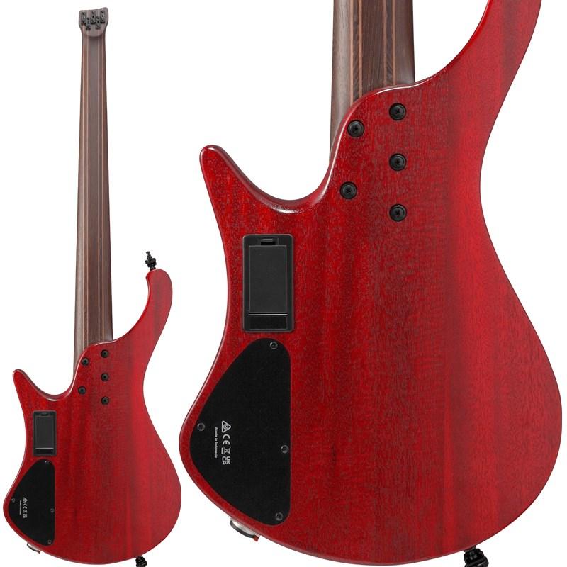 Ibanez（アイバニーズ） Ibanez EHB1505-SWL [SPOT MODEL] : 渋谷