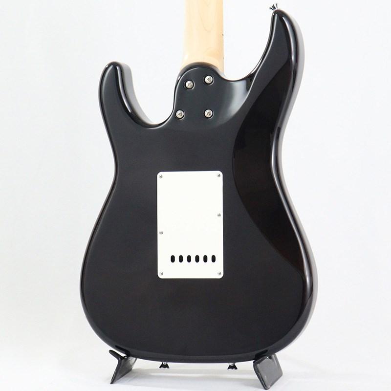 SCHECTER SCHECTER SD-2-24-AL-VTR (See-Thru Blue/Maple) : 渋谷