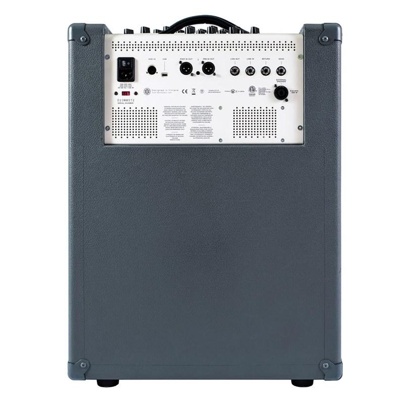 Darkglass Electronics 【お取り寄せ品】 Infinity 500 Combo 210 [DG210D]_2