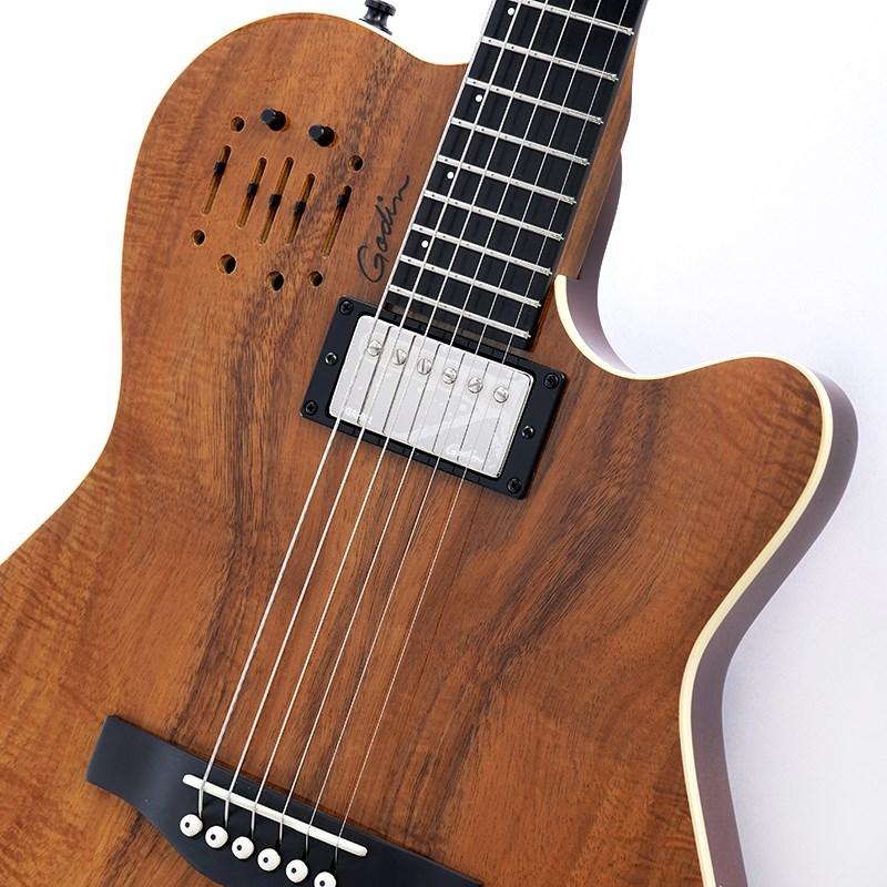 Godin A6 ULTRA Extream KOA HG 展示特価！ : 渋谷イケベ楽器村 - 通販