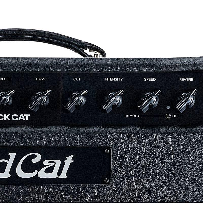 Bad Cat BLACK CAT 1x12 Combo（バッドキャット）【お取り寄せ商品