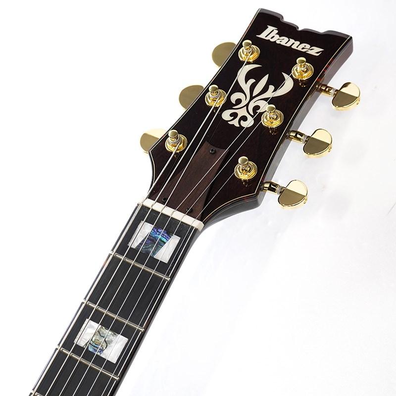 Ibanez（アイバニーズ） Ibanez ARTSTAR AMH100FM-DVS (Dark Violin