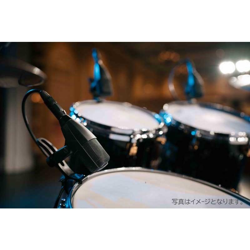 SENNHEISER MD 421 KOMPAKT (国内正規品)(ダイナミックマイク)(クジラ