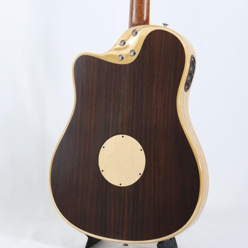 L.R.Baggs AEG-1 NAT エルアールバックスの画像
