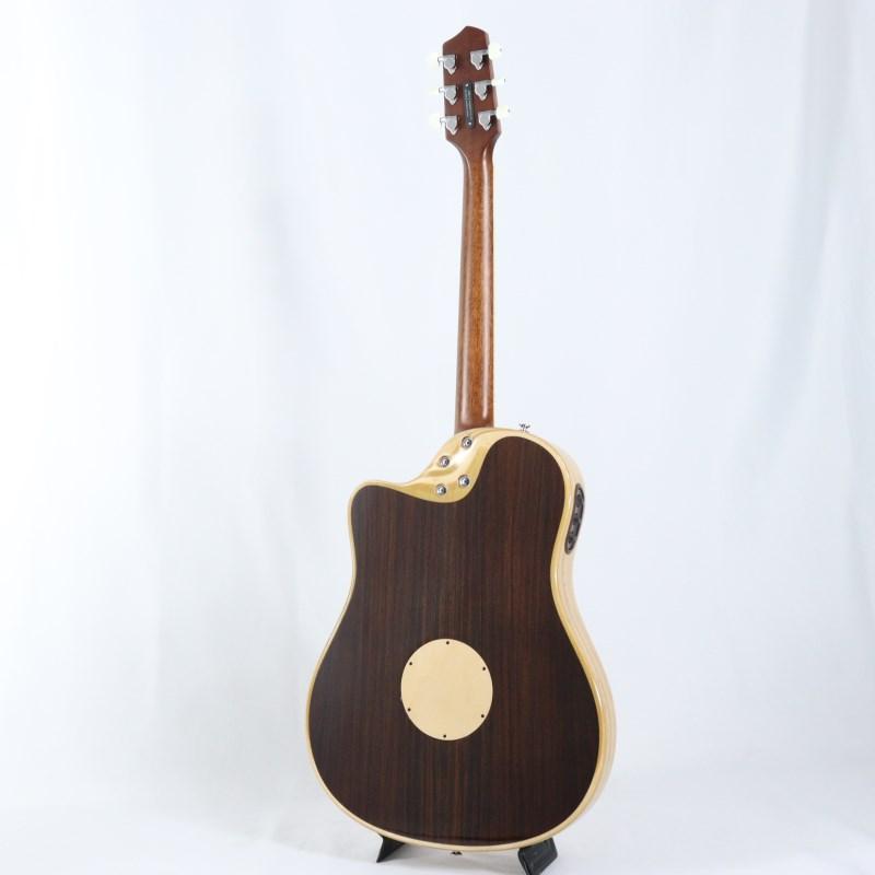 L.R.Baggs AEG-1 NAT エルアールバックスの画像