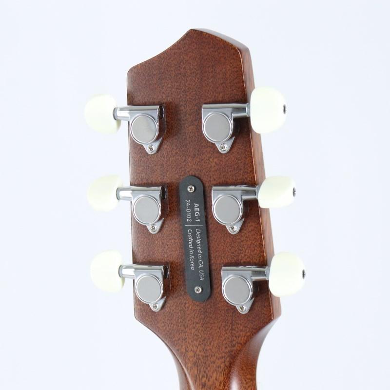 L.R.Baggs AEG-1 NAT エルアールバックスの画像